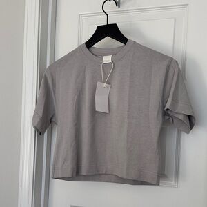Zara Light Gray Women's Crop Top